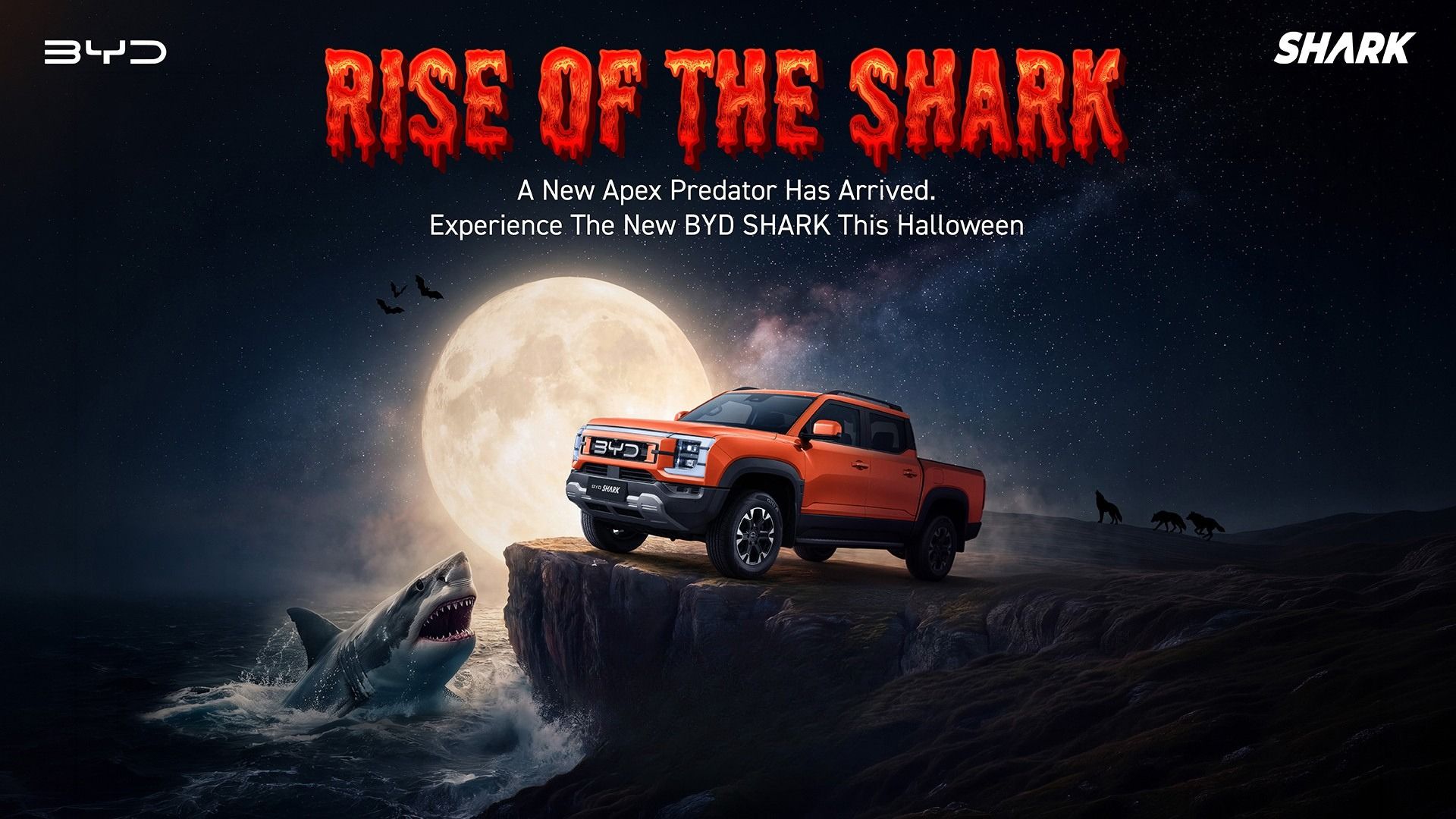 Byd Shark Halloween