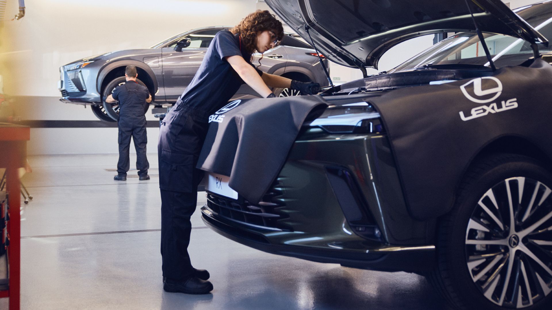 Lexus Warranty (2)