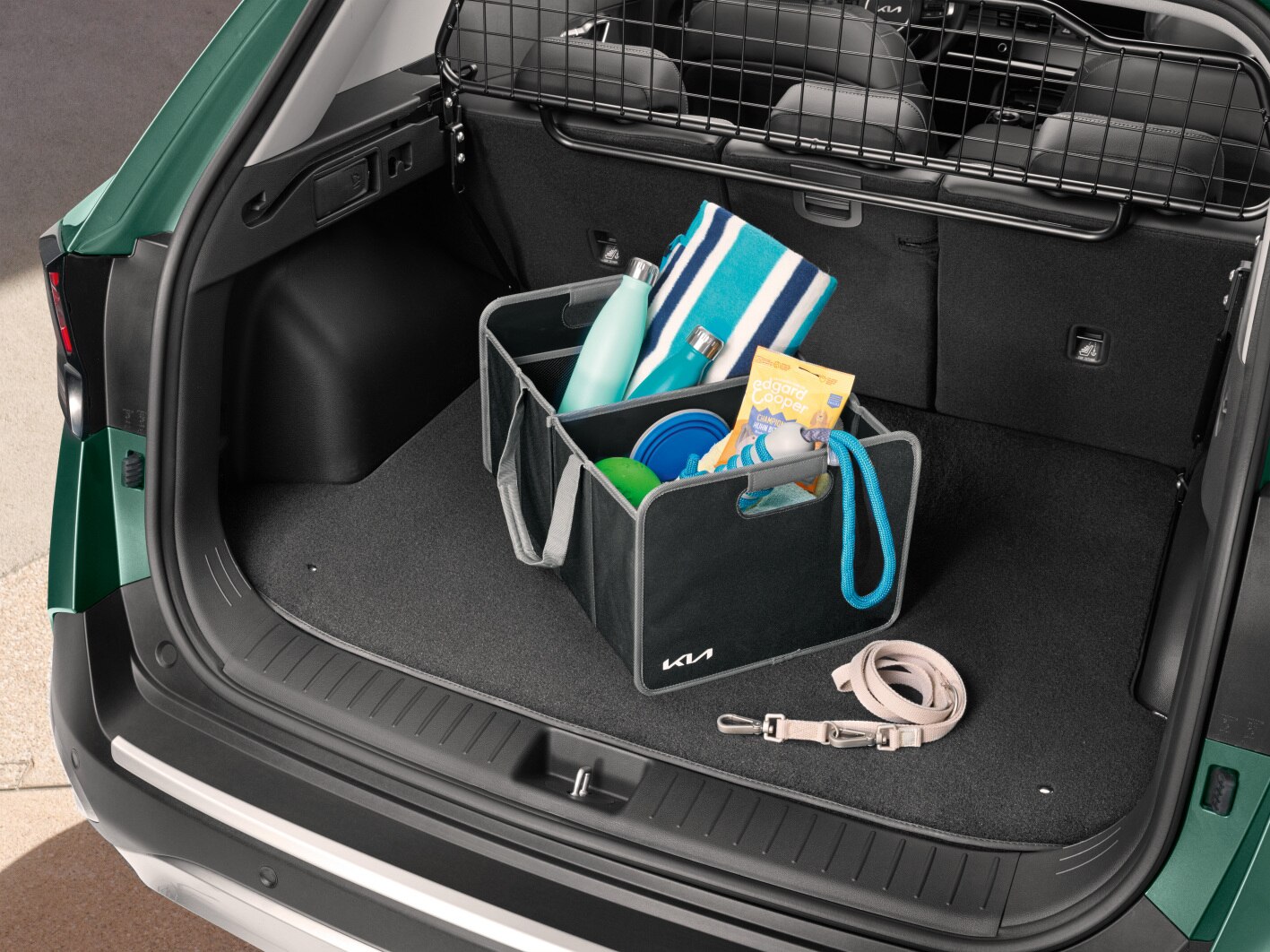 Kia accessories