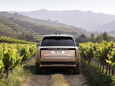 Rear view of a Range Rover driving through a vineyard