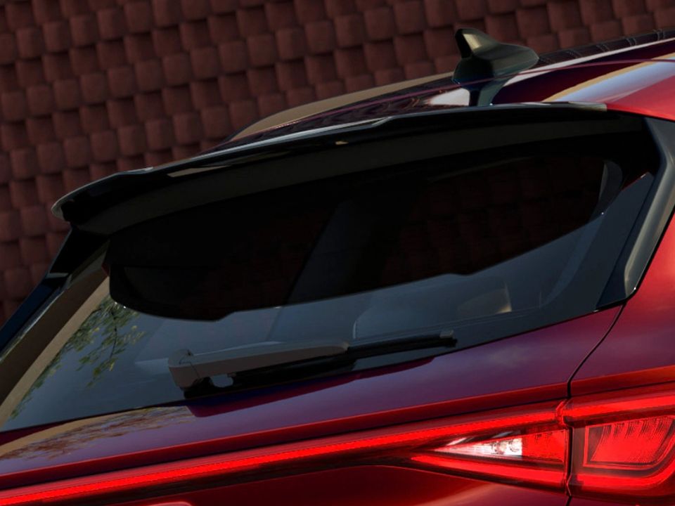 Leon Black Roof Spoiler